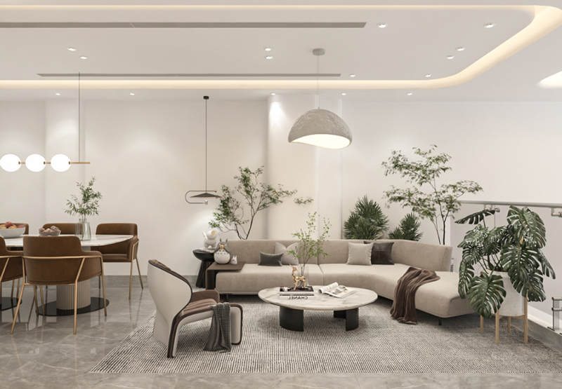 Thiết kế shophouse đơn giản với điểm nhấn cây xanh