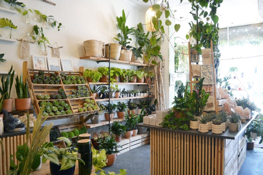Một số mẫu yhiết kế shop hoa phong cách rustic mộc mạc do Gia Long tổng hợp Một số mẫu yhiết kế shop hoa phong cách rustic mộc mạc do Gia Long tổng hợp