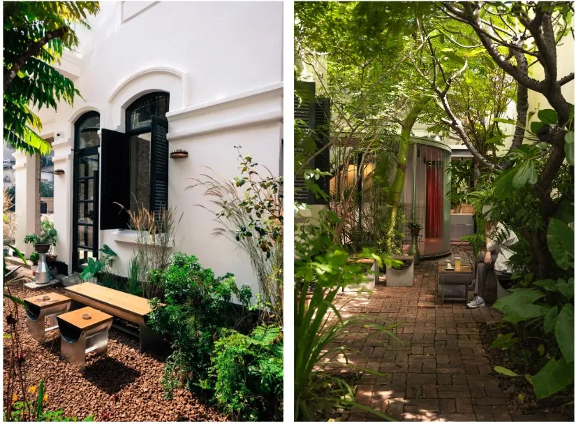 Thiết kế quán cà phê sân vườn phong cách Tropical Garden 3