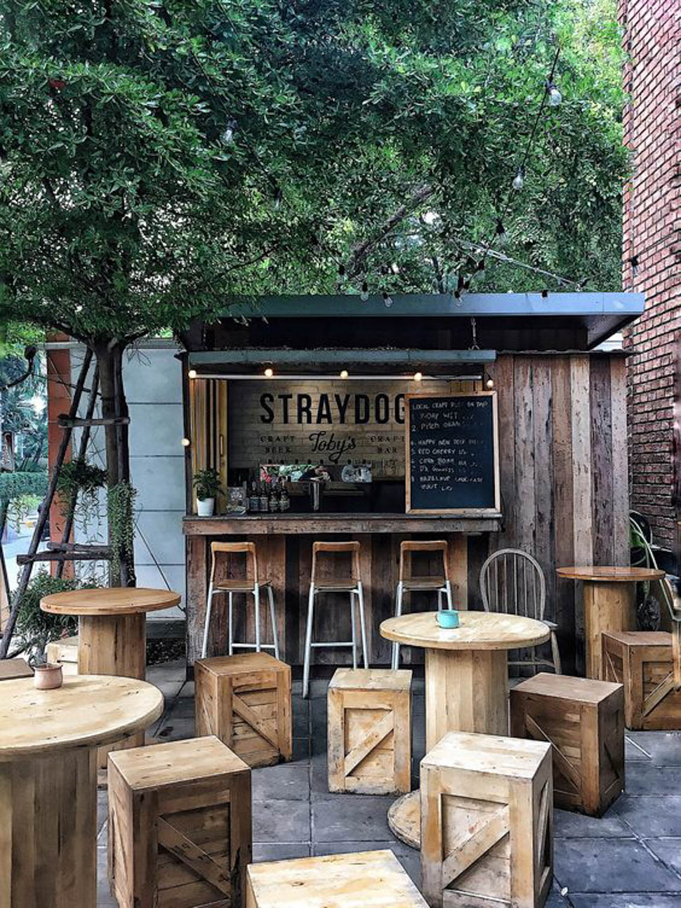 Quán cafe cây si với nội thất gỗ mới lạ