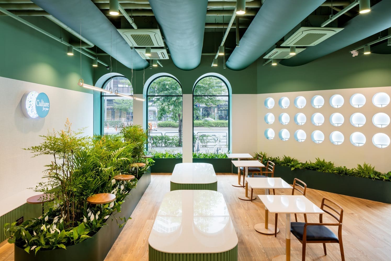 Quán cafe Hàn Quốc với cây xanh, tiểu cảnh, ghế mây và ánh sáng tự nhiên. Quán cafe Hàn Quốc với cây xanh, tiểu cảnh, ghế mây và ánh sáng tự nhiên