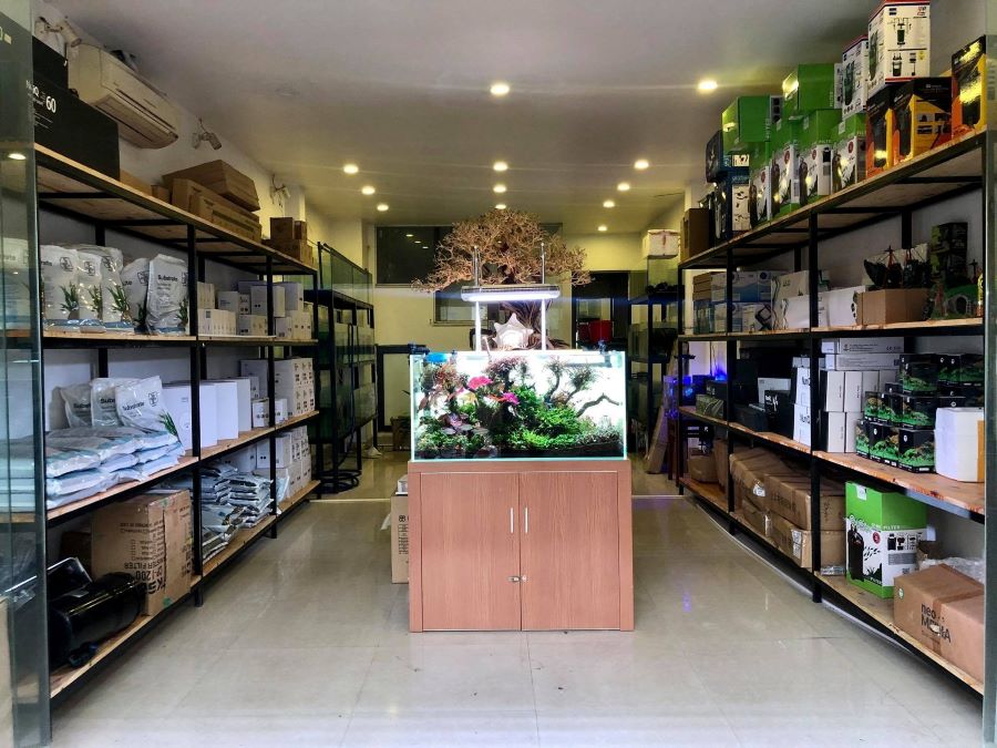 Mẫu thiết kế cửa hàng cá cảnh nhỏ, hiện đại - Mẫu 2 Mẫu thiết kế cửa hàng cá cảnh nhỏ, hiện đại - Mẫu 2