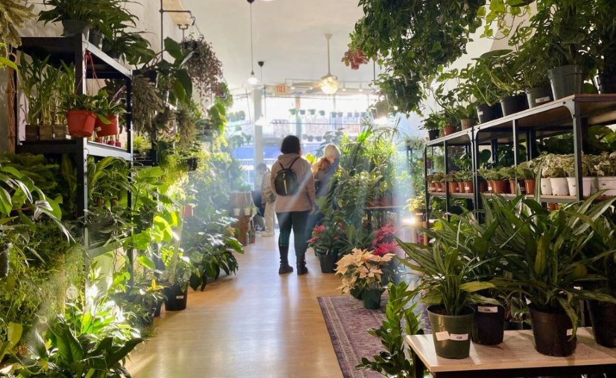 Thiết kế cửa hàng cây cảnh kết hợp quán cà phê sân vườn - Mẫu 18 Thiết kế cửa hàng cây cảnh kết hợp quán cà phê sân vườn - Mẫu 18