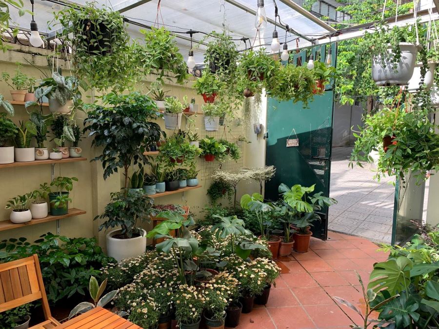 Mẫu shop cây cảnh ngoài trời nhiều ánh sáng tự nhiên - Mẫu 10 Mẫu shop cây cảnh ngoài trời nhiều ánh sáng tự nhiên - Mẫu 10