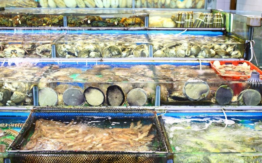 Mẫu cửa hàng hải sản nhỏ, diện tích dưới 50m - Mẫu 1 Mẫu cửa hàng hải sản nhỏ, diện tích dưới 50m - Mẫu 1