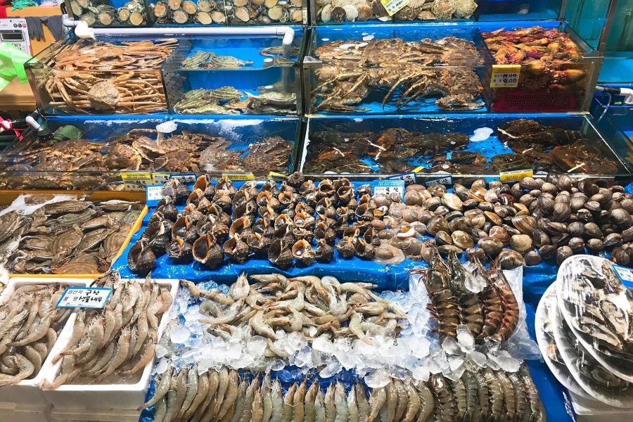 Mẫu cửa hàng hải sản nhỏ, diện tích dưới 50m - Mẫu 2 Mẫu cửa hàng hải sản nhỏ, diện tích dưới 50m - Mẫu 2