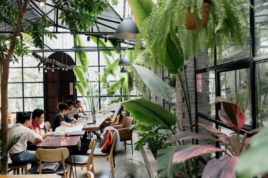 Quy trình vận hành quán cafe chi tiết Quy trình vận hành quán cafe chi tiết