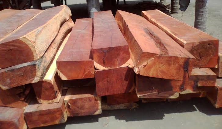Nhóm gỗ tự nhiên thuộc vật liệu nội thất phổ biến tại Việt Nam